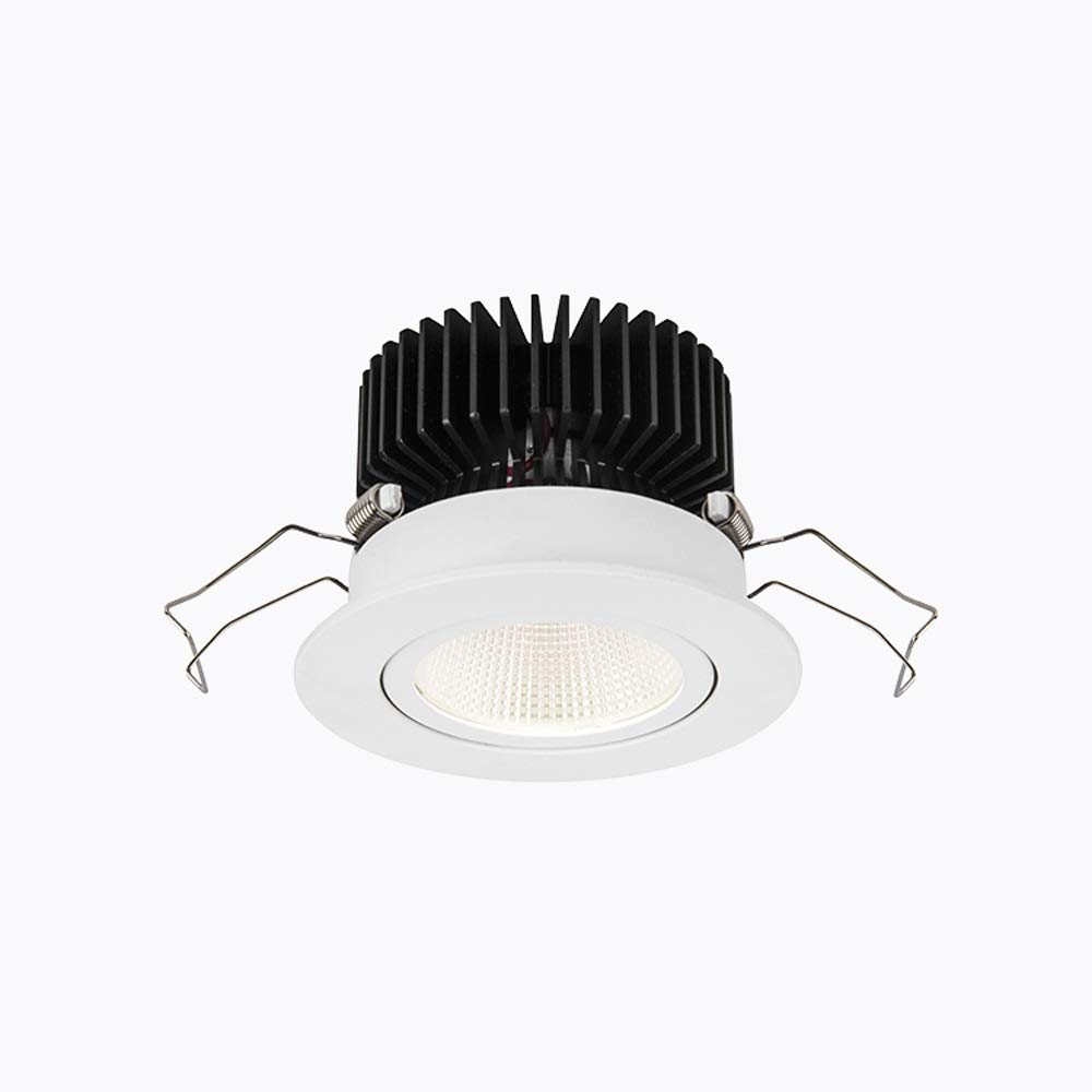 Wpuszczane lampy sufitowe, 12W Okrągły reflektor ścienny LED Wbudowany panel sufitowy LED do wbudowania Oświetlenie komercyjne Regulowany kąt oświetlenia Pojedyncza lampa punktowa Montaż do oświetleni