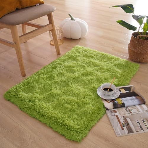 Green Rug for Bedroom, 2x3 Fluffy Area Rugs for Kids Playroom, Furry Carpet for Nursery Room, Shaggy Rug for Teen Living Room, Thick Fuzzy Plush Rug for Dorm, Cute Room Decor for Baby