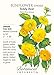 Teddy Bear Sunflower Seeds - 1 gram - Helianthus