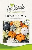 Orbis F1 Mix Kürbis-Samen