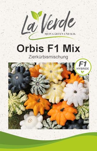 Orbis F1 Mix Kürbis-Samen