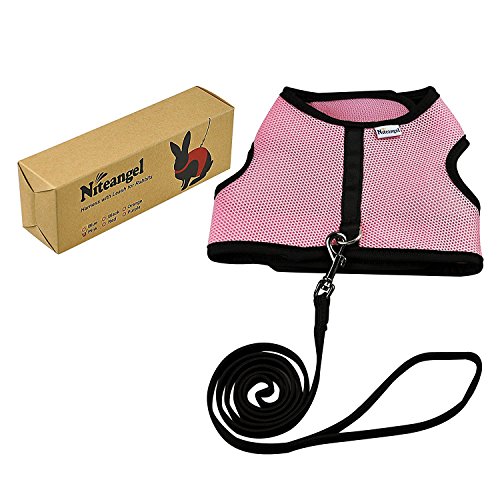 Niteangel Adjustable Soft Harness With Elastic Leash For Rabbits (L, Pink) #TOP6