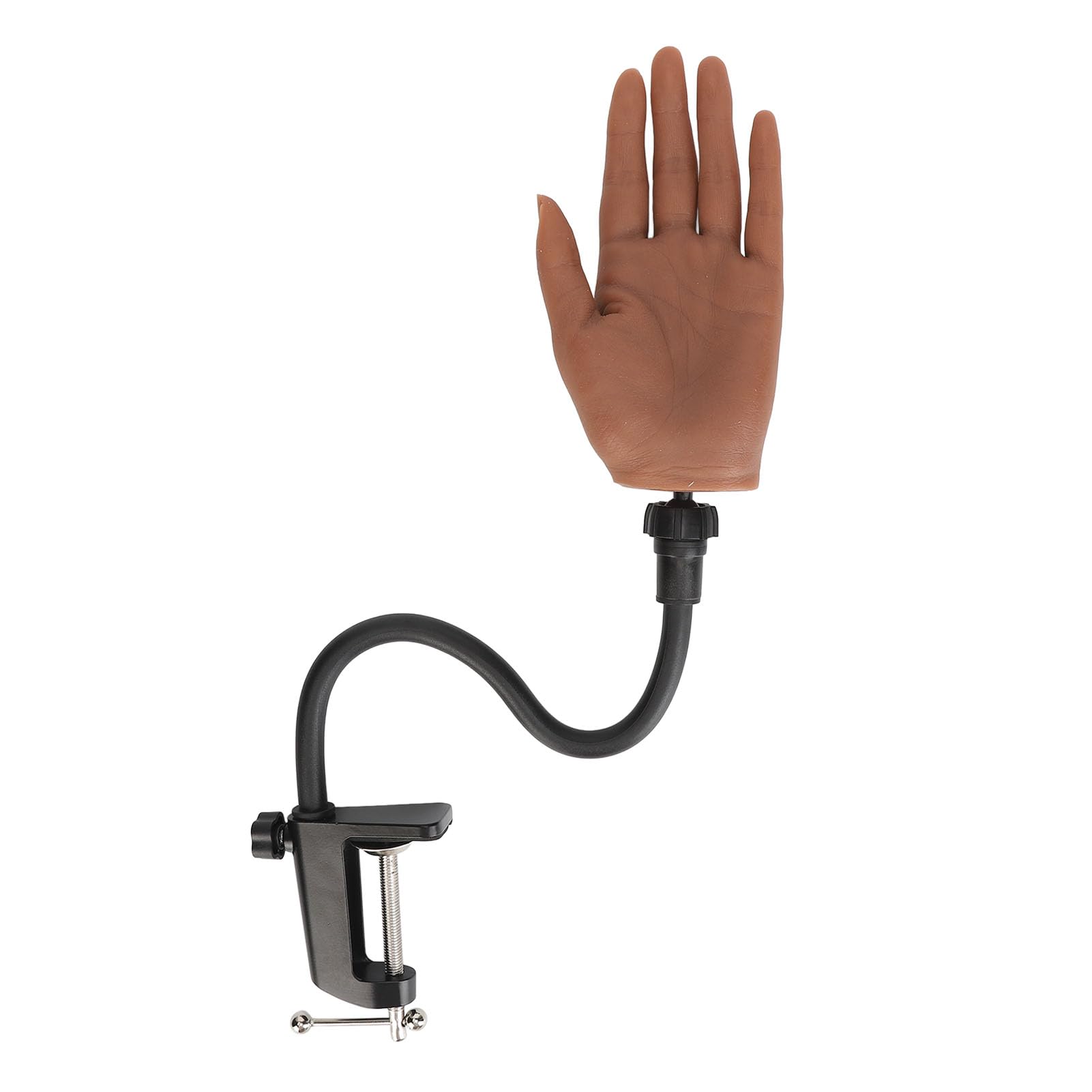 Modèle de Main en Silicone, Ensemble de Mains de Pratique des Ongles, Couverture épaisse pour la Recherche en Acupuncture Médicale (Main gauche)