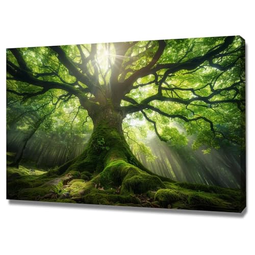 Decoration murale moderne 60x80cm paysage avec cadre WODJEM