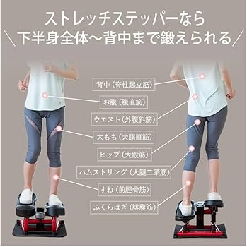 Amazon | 【公式】エアロライフ ステッパー ストレッチステッパー