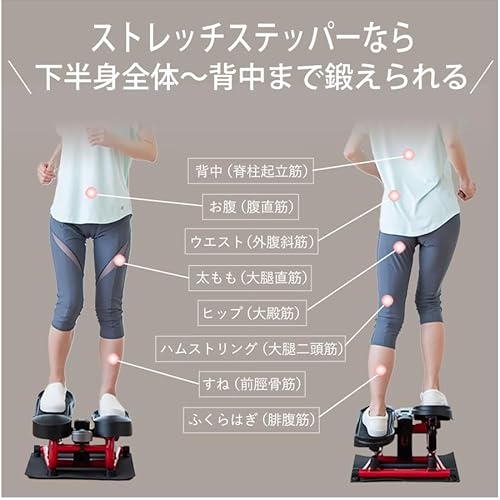 ストレッチステッパー DR-3835r - 画像 3