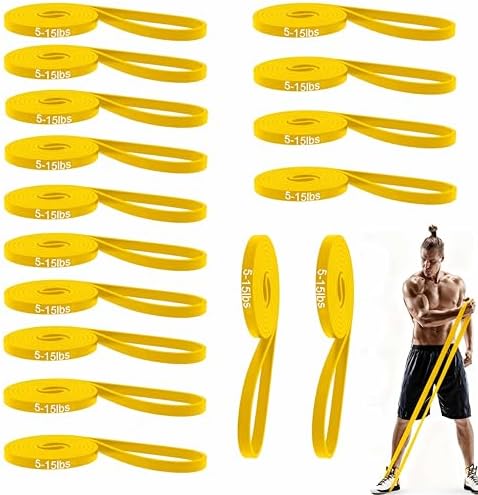 16-Pcs Resistance Bands Set - Premium Elastic Workout Bands for H...
