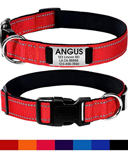 Joytale Personalized Dog Collar with Engraved Slide on ID Tags,Custom Reflective Collars