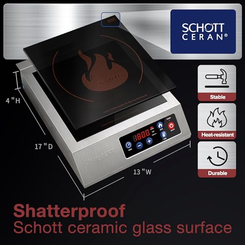 Induction Cooktop Double Burner Portable