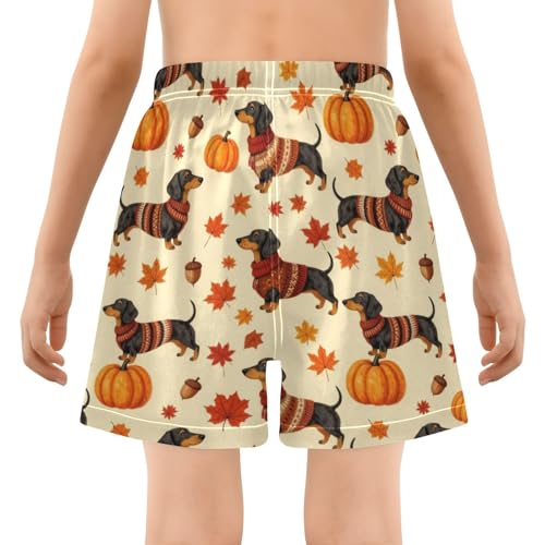 Short de plage garçon teckel évite les frictions maillot boxer 4T