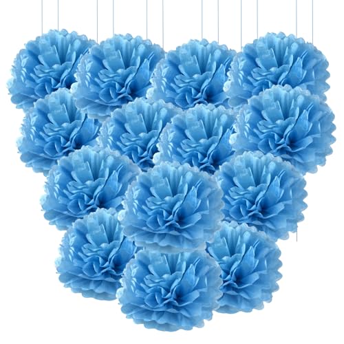 Qimoo 20pcs Blue Paper Decorative Pom Poms Flowers Ball for Party Wedding Outdoor Decoration