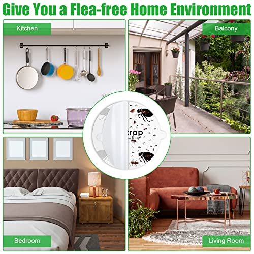 30 Pack Flea Trap Refill Discs Sticky Traps Fly Trap Refill Glue Board Refills Trap Double Layer Adhesive Nontoxic Odorless Pest Control Traps Replacement Sticky Glue Pads 7.1 Inch For Bugs Flies #TOP4