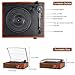 Record Player Bluetooth Turntable for Vinyl with Speakers & USB Player,Vinyl to USB,3 Speed Belt Driven LP Vintage Phonograph for Home Decoration