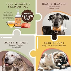 Natural Dog Company Coldwater Atlantic Salmon Oil for Dogs (16oz) - Senior Dog Fish Oil Supplement with Omega 3, Easy to digest for Senior Dog Fish Oil, Liquid Dog fish oil Joint Support Supplement Natural Dog Company Coldwater Atlantic Salmon Oil for Dogs (16oz) – Senior Dog Fish Oil Supplement with Omega 3, Easy to digest for Senior Dog Fish Oil, Liquid Dog fish oil Joint Support Supplement