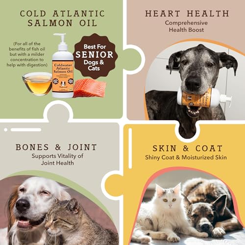 Natural Dog Company Coldwater Atlantic Salmon Oil for Dogs (16oz) – Senior Dog Fish Oil Supplement with Omega 3, Easy to digest for Senior Dog Fish Oil, Liquid Dog fish oil Joint Support Supplement Natural Dog Company Coldwater Atlantic Salmon Oil for Dogs (16oz) – Senior Dog Fish Oil Supplement with Omega 3, Easy to digest for Senior Dog Fish Oil, Liquid Dog fish oil Joint Support Supplement