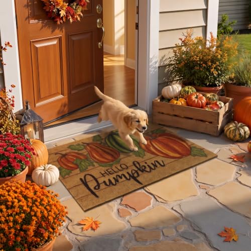 U'Artlines Fall Hello Pumpkin Low Pile Front Door Mat 17"x30" - image 1