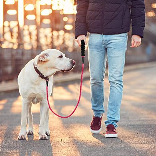 GIAHAND Hundeleine 1,5 M – Gepolsteter Griff, Reflektierend – Für Mittelgroße & Große Hunde, Braun