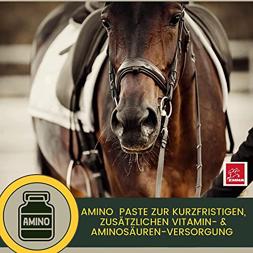 EMMA Mineralfutter Pferd 5kg + Biotin Zink Selen – Mineralien Komplex mit Magnesium & Bierhefe – Pellets & Amino Paste 30ml – Huf Fell Haut Fellwechsel – Pferdefutter für Starke Hufe & Vitalität