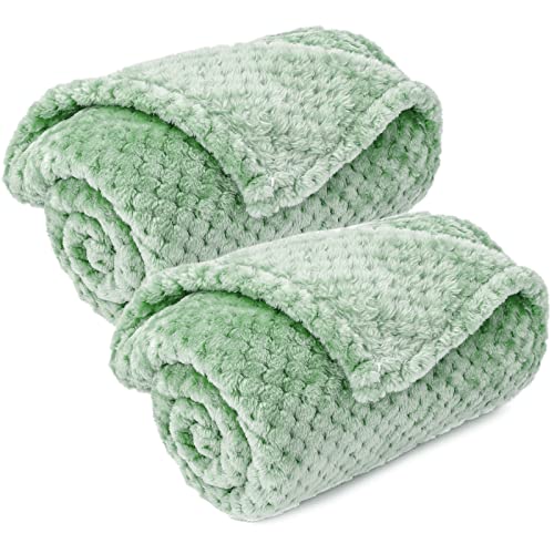 Image of Warm Soft Fuzzy Dog or Cat Blanket, Plush Fleece Throws for Puppy, Kitten, Medium, Large Dogs - Mint (S /24 inch x 32 inch)