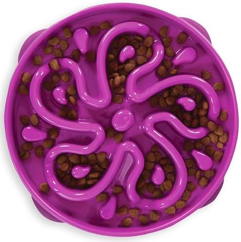 Outward Hound, Jogo interativo para cães com tigela de alimentaçã...