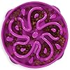 Outward Hound Fun Feeder Slo Bowl – Large 4‑Cup Capacity, Slow Feeding, Medium to Large Dogs, Non‑Slip, Purple, Flower Pattern