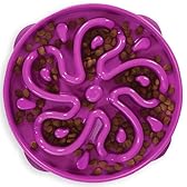 Outward Hound Fun Feeder Slo Bowl – Large 4‑Cup Capacity, Slow Feeding, Medium to Large Dogs, Non‑Slip, Purple, Flower Pattern