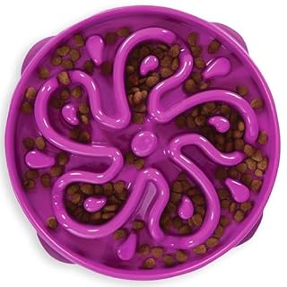 Outward Hound Fun Feeder Slo Bowl – Large 4‑Cup Capacity, Slow Feeding, Medium to Large Dogs, Non‑Slip, Purple, Flower Pattern