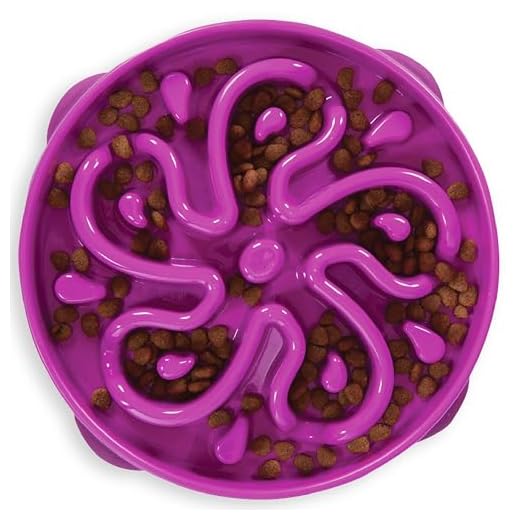 Outward Hound Fun Feeder Slo Bowl, Slow Feeder Dog Bowl, Large/Regular, Purple