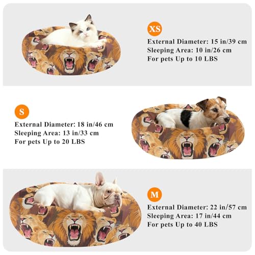 Coussin lion chaud et isolant taille M pour petit animal - 8