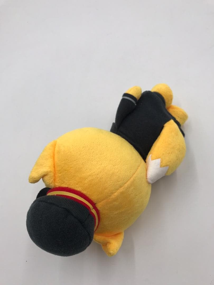 Amazon.co.jp: 駅長がちゃこん ぬいぐるみ 近江鉄道 : おもちゃ