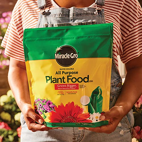 Miracle-Gro Water Soluble All Purpose Plant Food - Fertilizer For All Indoor or Outdoor Plants including Roses, Flowers, Vegetables, Houseplants, Trees, and Shrubs, 5 lb. Bag by Miracle-Gro - Image 4