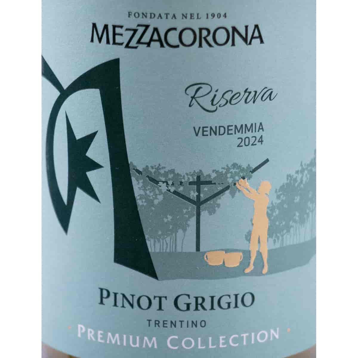 Pinot Grigio Riserva DOC 2024 - Mezzacorona - 6×0,75 L | Fruchtige Zitrusnoten; feine Mineralität; elegante Struktur; sanfter Schmelz; klarer Trinkfluss; vielseitiger Speisebegleiter