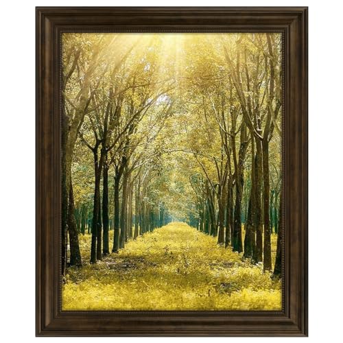 Space Art Deco, 16x20 Ornate Picture Frame Without Mat for 16x20 Photo,Shatter-Resistant Glass Sawtooth Hangers Wall Mount Display(Color Brown)