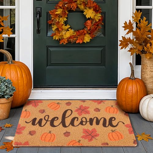 Fall Welcome Door Mat for Front Door, Pumpkin...