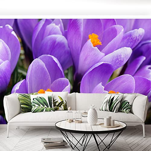 Papier Peint Moderne Grand Format Décoration Murale Durable Crocus Violets 416x254cm - 5