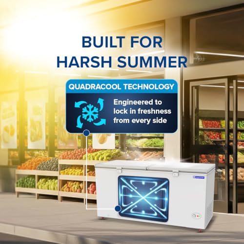 Image of Blue Star HT4-N575, 575 Liter Hard Top Double Door Deep Freezer (515 Liter, White, 4-star)