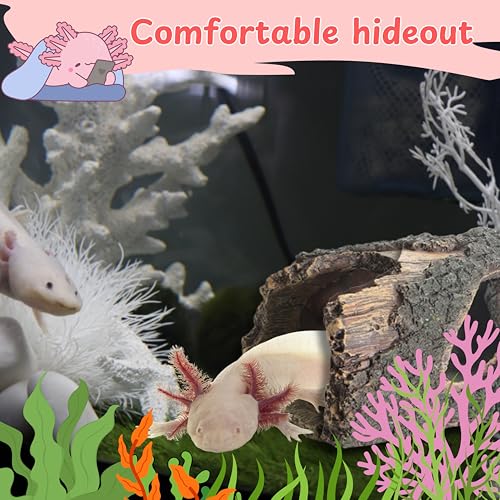 Image of 1pcs Axolotl Hides for Aquarium with 2pcs Nitrifying Ball Set, Driftwood Axolotl Cave Hideout and Aquarium Filter Balls, Fish Tank Decor, Shelter for Small Pet Frog Fish Betta (Resin Driftwood, M)