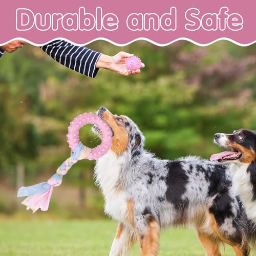 Ajuanbazha 5 Piezas Juguetes para la Dentición de Cachorros, Juguetes Masticables de Goma con Cuerdas de Algodón, Interactivos y Resistentes para Perros Pequeños y Medianos - imagen 6