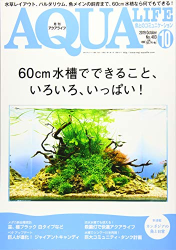 無料電子書籍 おすすめ 月刊アクアライフ 2019年 10 月号 60cm水槽でできること、いろいろ、いっぱ バイ