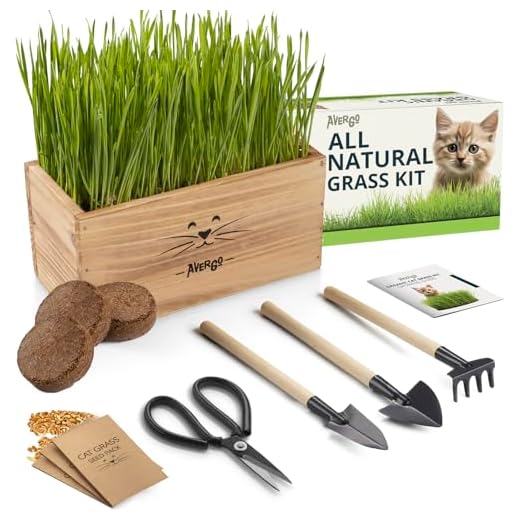 Cat Grass Kit for Indoor Cats – x4 Seed Packets | Cat Grass Seeds with Wooden Planter, Soil & Mini Gardening Tools for Nipping – Pet-Safe Wheatgrass Grass