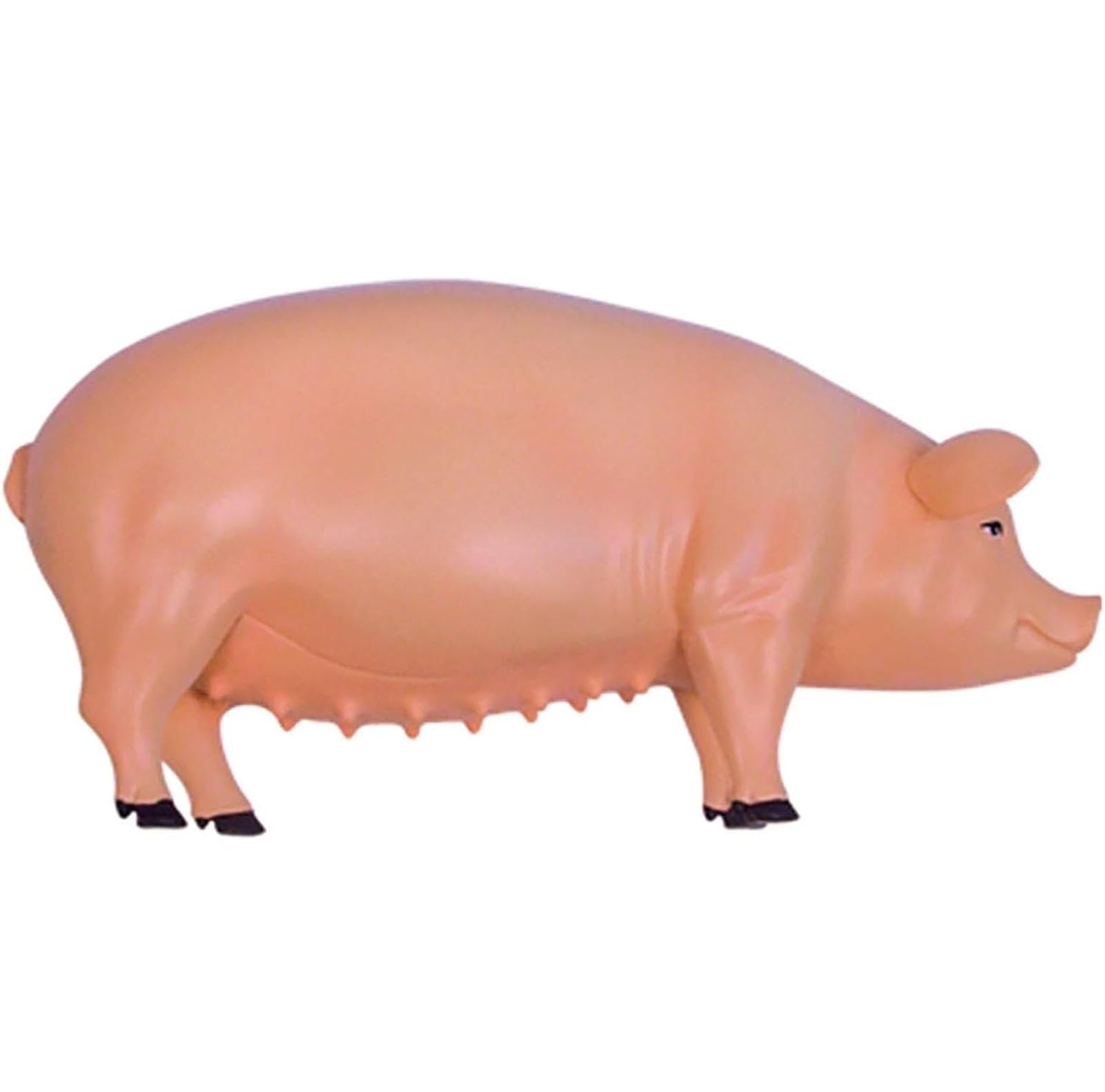 Model anatomiczny świni 4D, model szkieletu, model anatomiczny, odłączany model zwierzęcy z 19 organami i częściami ciała – model dydaktyczny do nauczania i nauki