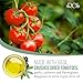 ROI Red Pesto - Sundried Tomato Pesto Sauce Made With Sundried Tomatoes, Genovese DOP Basil, and EVOO, Gluten-Free, Keto-Friendly Fresh Ligurian Sauce, Non-GMO, Made In Italy 6.3 oz (180 g) - Pack 1