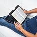 Mind Reader Lap Desk Laptop Stand, Bed Tray, Collapsible, Cushion, Portable, Dorm, Plastic, 14.75