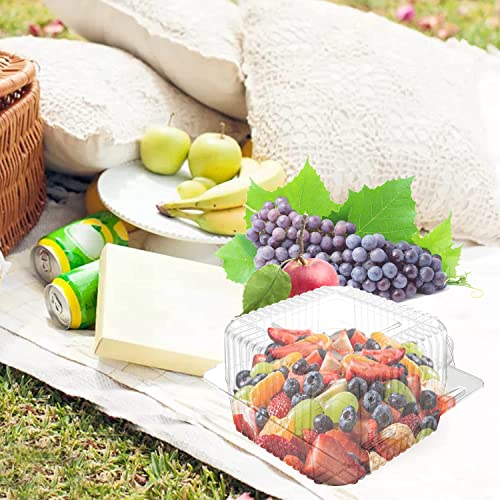 70 Pcs Clear Plastic Hinged Take Out Containers Disposable Clamshell Food Cake Containers With Lids 5.3 X 4.7 X 2.8 Inch For Dessert, Cakes, Cookies, Salads, Pasta, Sandwiches #TOP5