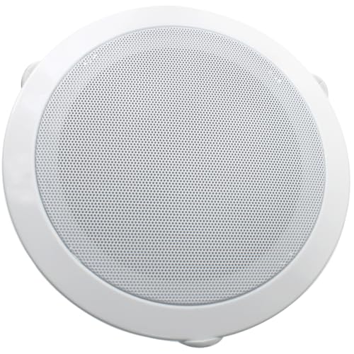 SYCZIOHU 1 Pcs 2 Way in Ceiling Round Speaker 6