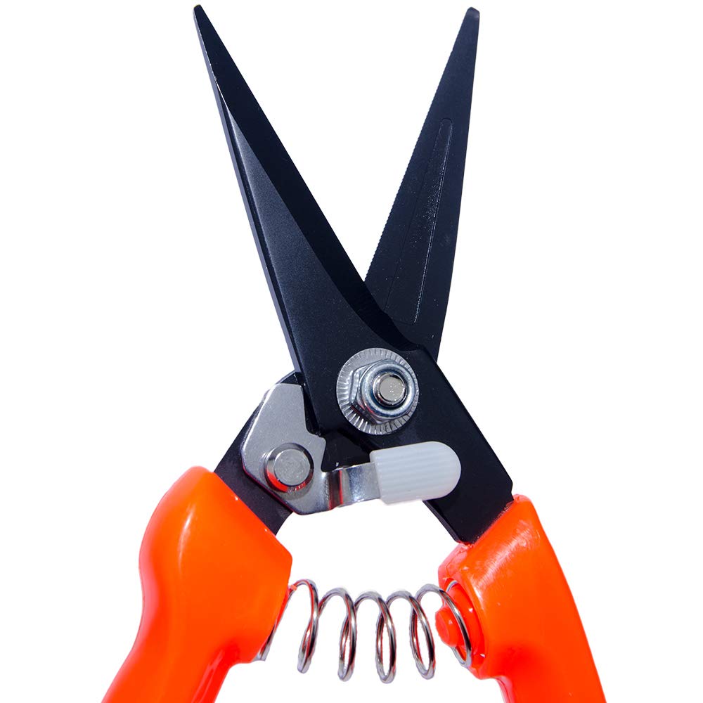 Forbici professionali per pecora e capra 20,3 cm lame dentate rosso nero