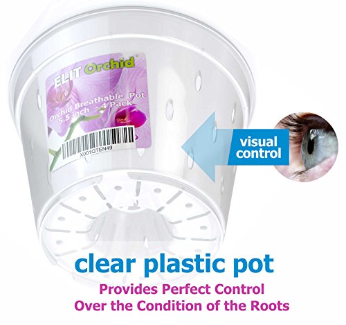 Orchideeënpotten met gaten Cymbidium Phalaenopsis Orchidee Pot Indoor Clear Plastic Vanda Plantenpotten Set (5,5 inch… - Afbeelding 5