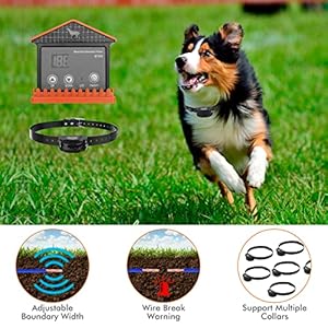 Wired-Electric-Dog-Fence-UndergroundAboveground-Pet-Containment-System-650Ft-Wire-Waterproof-Rechargeable-Collar-ShockTone-Correction-Support-2-Dogs - Cucciolini Doodles   Wired-Electric-Dog-Fence-UndergroundAboveground-Pet-Containment-System-650Ft-Wire-Waterproof-Rechargeable-Collar-ShockTone-Correction-Support-2-Dogs