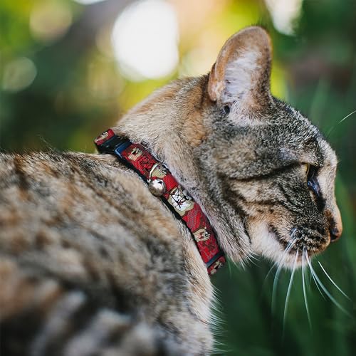 Collar de gato Buckle Down anticaídas con cierre breakaway Tasmanian Devil contra tirones 3