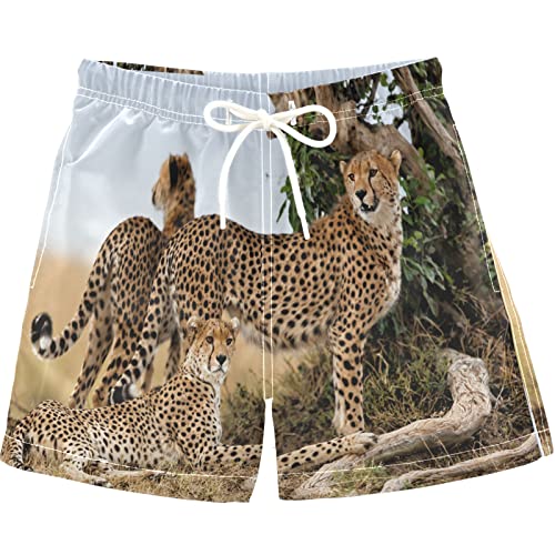 visesunny Boys Casual Board Shorts Funny Floral Boys' Swim Trunks Toddler Beach Shorts Little Kids Bathing Suit